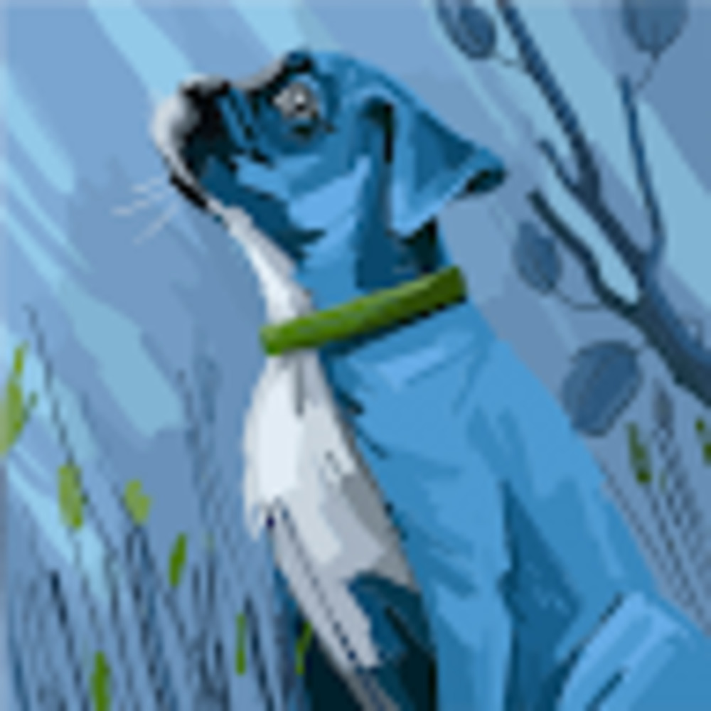 Meet your Posher, Francisco